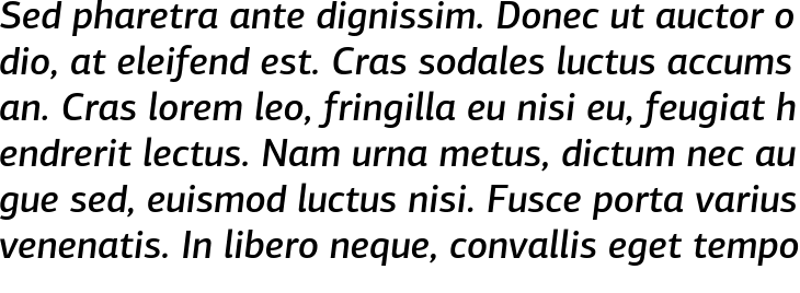 `PF Agora Sans Pro Medium Italic` Preview