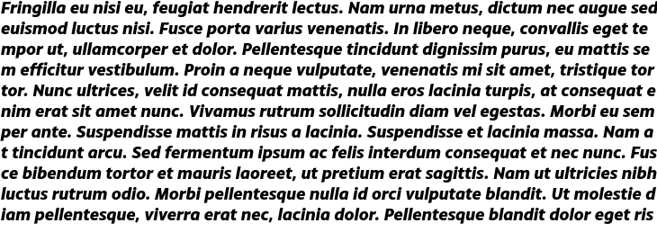 `Monsal Gothic Extra Bold Italic` Preview