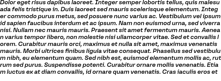 `Versos Test Semi Bold italic` Preview