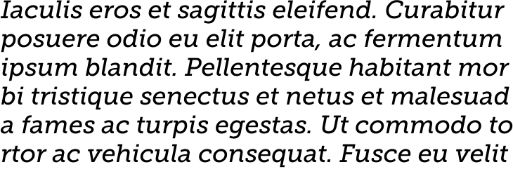 `Museo Slab 500 Italic` Preview