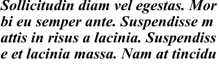 `Aparajita Bold Italic` Preview