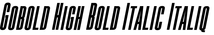 `Gobold High Bold Italic Italique` Preview