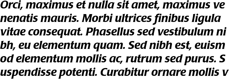 `Poppl-Laudatio BQ Medium Italic` Preview
