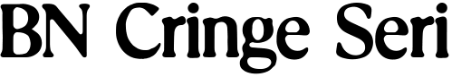 `BN Cringe Serif Regular` Preview