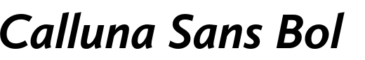 `Calluna Sans Bold Italic` Preview