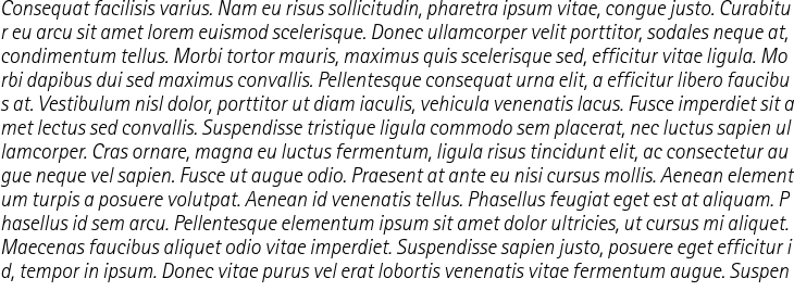 `Rotis Sans Serif Pro 46 Light Italic` Preview