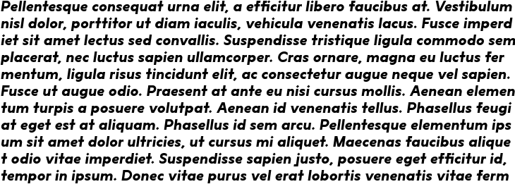 `Lucifer Sans Bold Italic` Preview