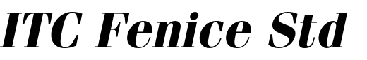 `ITC Fenice Std Bold Oblique` Preview