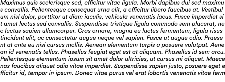 `Circular Std Medium Italic` Preview