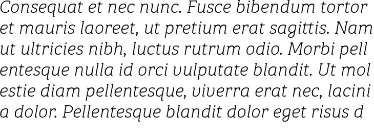 `Bree Serif Thin Italic` Preview