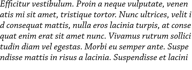 `Chaparral Pro Italic` Preview