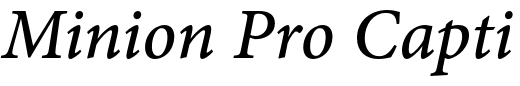 `Minion Pro Caption Medium Italic` Preview