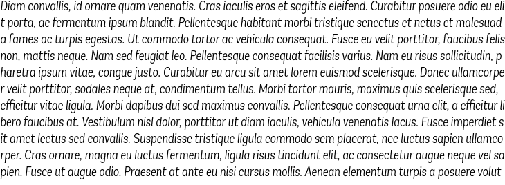 `Andes Condensed Light Italic` Preview