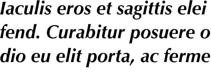 `Zapf Humanist 601 BT Bold Italic` Preview