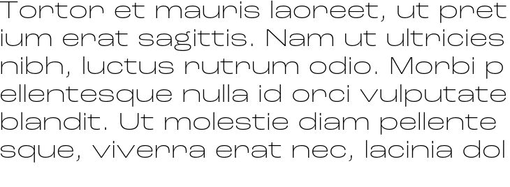 `Roc Grotesk Wide Extra Light` Preview