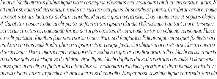 `Elphadora Regular Italic` Preview