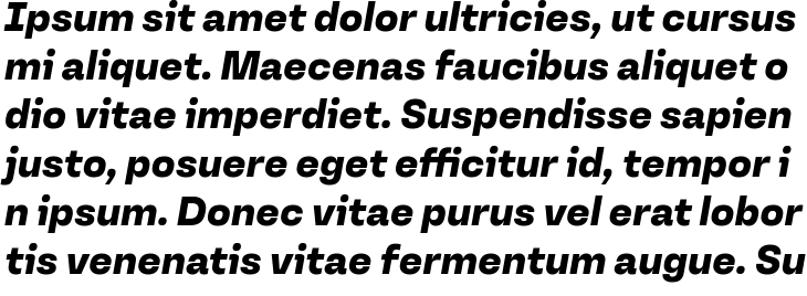 `Versos Test Extra Bold Italic` Preview