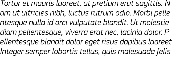 `PF Din Display Pro Light Italic` Preview