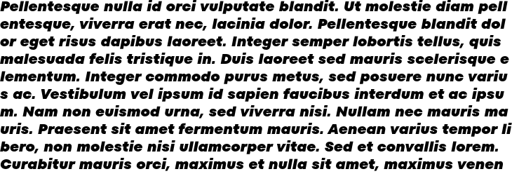 `FONTSPRING Black Italic` Preview