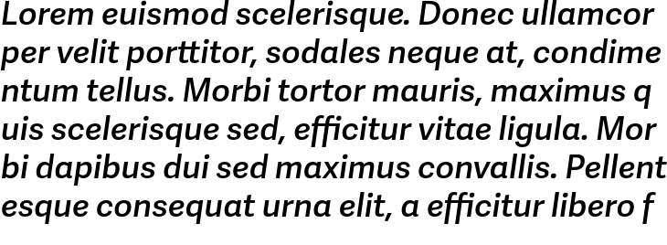 `Adelle Sans SemiBold Italic` Preview