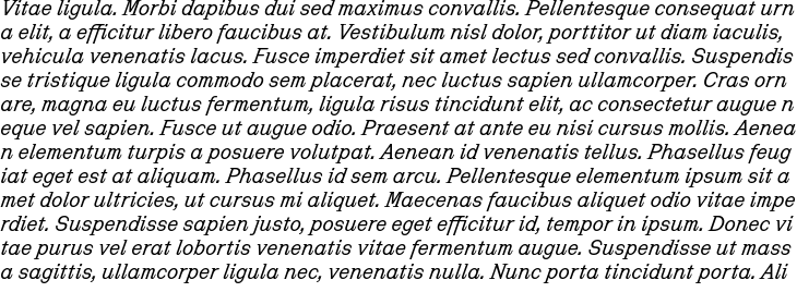 `Antonym Italic` Preview