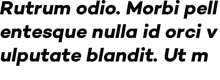 `Campton Bold Italic` Preview