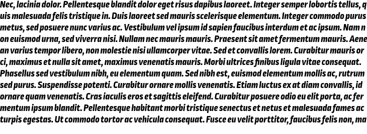 `Ropa Soft Pro Extra Bold Italic` Preview