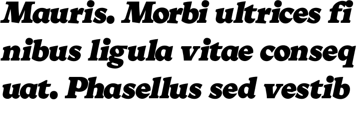 `VC Cornbread Extra Bold Italic` Preview