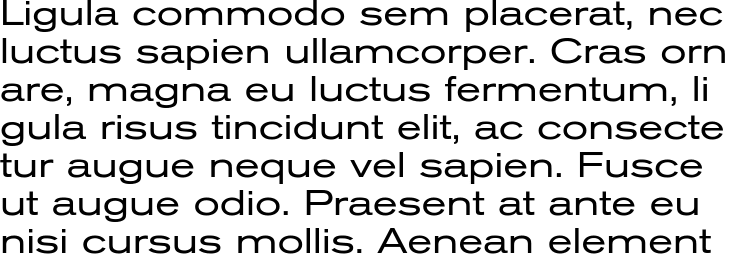 `Berthold Akzidenz Grotesk BE Extended` Preview