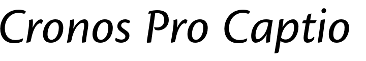 `Cronos Pro Caption Italic` Preview