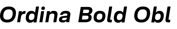 `Ordina Bold Oblique` Preview