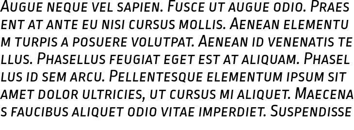 `Ropa Sans Small Caps Italic` Preview