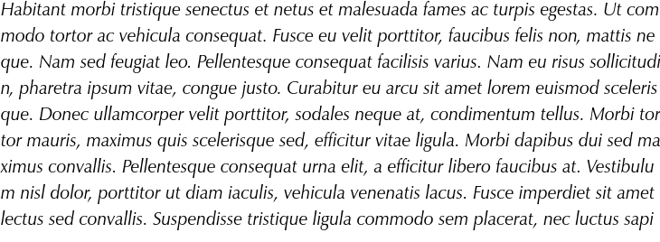 `Zapf Humanist 601 BT Italic` Preview