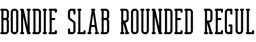 `Bondie Slab Rounded Regular` Preview