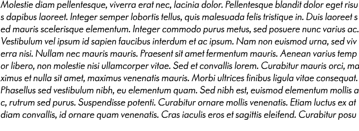 `Paneuropa Retro Rough Regular Italic` Preview