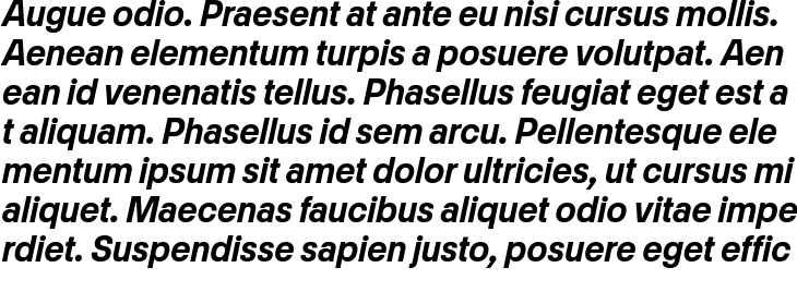 `Match Bold Italic` Preview