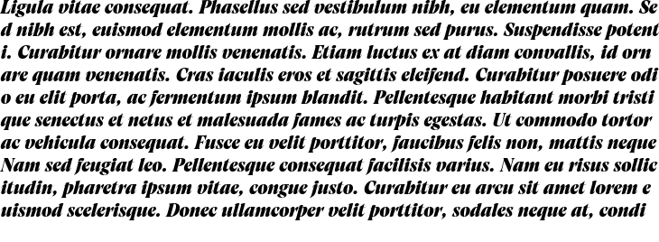 `Artusi Grande Trial Extra Bold Italic` Preview