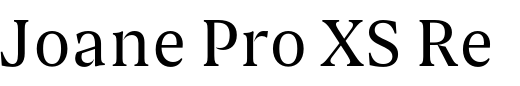 `Joane Pro XS Regular` Preview