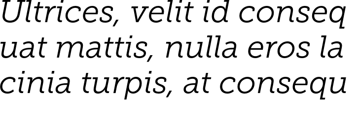 `Museo Slab 300 Italic` Preview