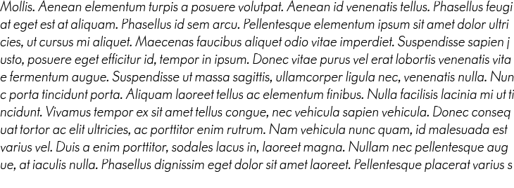 `Paneuropa Retro Rough Light Italic` Preview