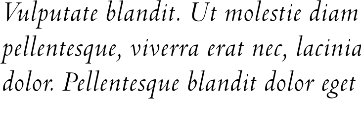 `Venetian 301 BT Italic` Preview