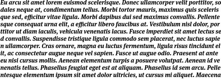 `Meta Serif Pro Bold Italic` Preview