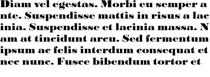 `URW Bodoni T ExtraWide ExtraBold` Preview