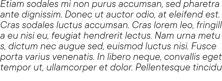 `TT Commons Light Italic` Preview