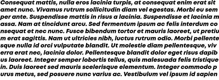 `Mont Heavy Italic` Preview