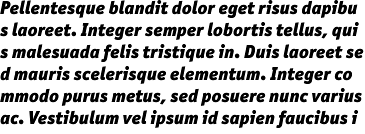 `Officina Sans Pro Black Italic` Preview