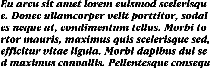 `Artusi Trial Extra Bold Italic` Preview