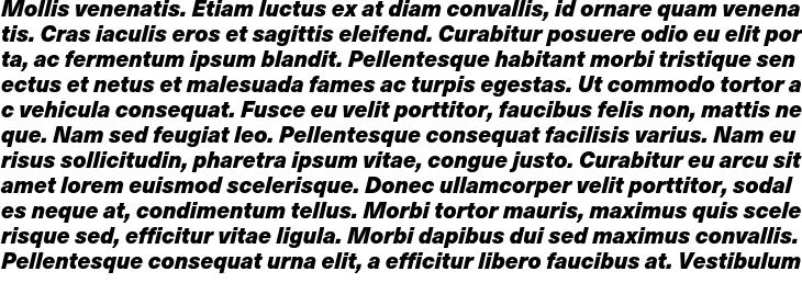 `Neue Haas Unica Bold Italic` Preview