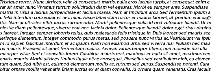 `Frieze Roman Italic` Preview