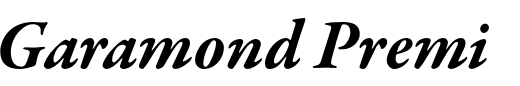 `Garamond Premier Pro Bold Italic` Preview